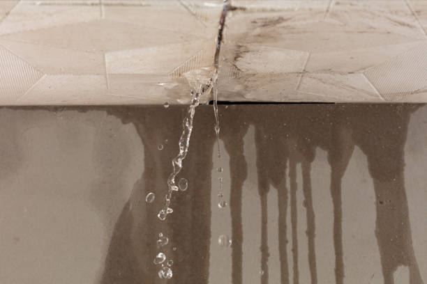 Professional Structural Drying technician working in Vinemont, AL